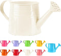 Tinplate Watering Kettle, 1L Metal Garden Watering Can, Vintage Sprinkling Can for Flowers, Indoor & Outdoor Plants, Lawn & Garden Irrigation Tool (White)
