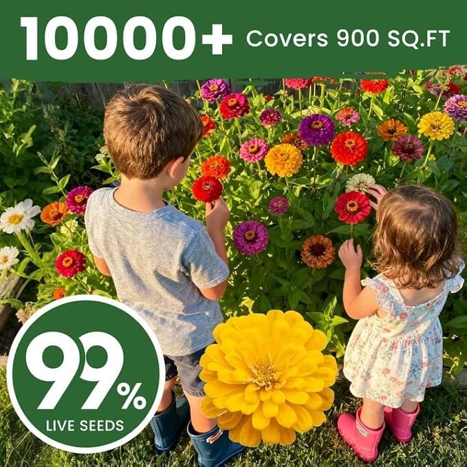 5000+ Zinnia Dahlia Seeds Flower Seeds for 2026 Planting, 2.8 Oz, 5 Varieties (Pink, Yellow, Orange, White, Purple), 80G Mixed Colors and Large Blooms, Open Pollinated - Bulk