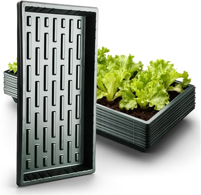 10 Pack Heavy Duty 1020 Trays No Holes - 1.6 Inch Deep Shallow Nursery Flats, Reusable Seed Starter Trays for 72/128 Cell Inserts, Microgreens, Seedling and Hydroponics (Dark Green)