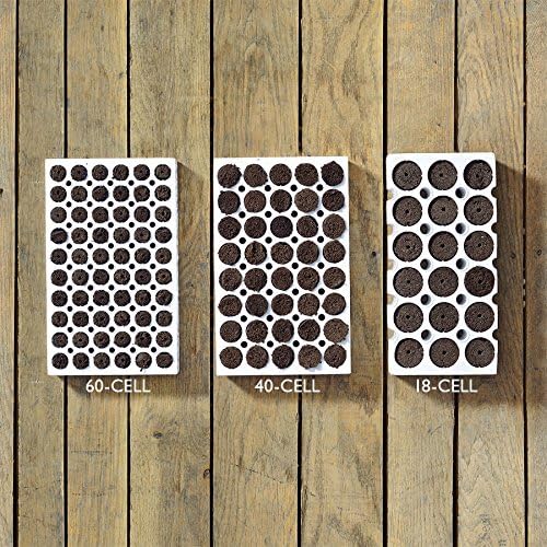 Park Seed Park Seed 60 Cell Bio Dome Planting Block with Bio Sponges