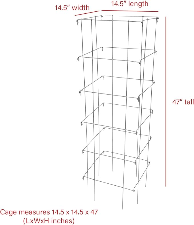 Garden Elements Square Tomato Cage, 48 Inch (Pack of 3) - Heavy Duty Galvanized Steel Plant Support, Collapsible Garden Trellis with 8-Leg Stability for Climbing Vegetables & Vines
