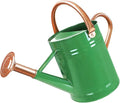 1 Gallon Metal Watering Can for Outdoor Garden, Plant & Flower Watering Pot for Gardening Bonsai Water Bucket with Sprinkler Head