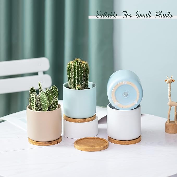 TAMAYKIM 4 Inch Ceramic Plant Pots with Drainage Hole and Saucer, Small Modern Flower Pots with Trays for Succulent, Cactus and Herbs, Morandi Colors, Set of 4