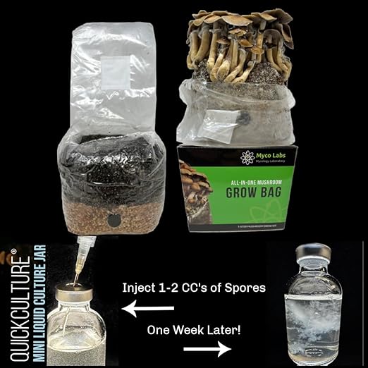 Myco Labs All-in-One Mushroom Grow Bag for Manure Loving Mushrooms + Spore Germination Jar! (4LB)