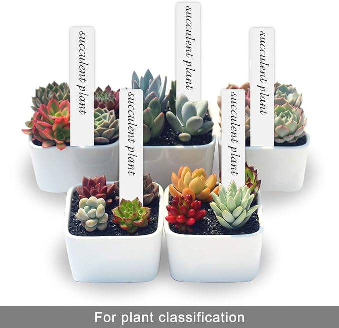 SumDirect Plastic Plant Labels, 300pcs 6 Inch White Waterproof Plant Name Tags for Nursery Garden Labels Markers Seedlings Plant Tags Tree Stake Tags