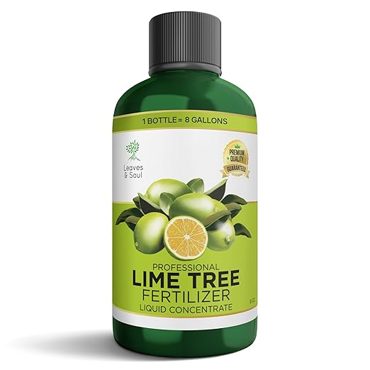 Leaves and Soul Professional Lime Tree Fertilizer Liquid Concentrate - 6-4-6 Blend for Fruit Tree Fertilizer, Garden - Liquid Plant Food for Lime Trees in Pots or Outdoors - 8oz