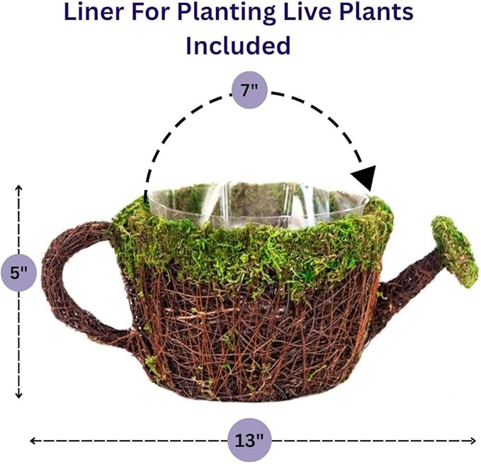SuperMoss (55260 Deco Watering Can Planter Basket for Plants Home and Garden Decor Perfect Indoor and Outdoor Solutions for Plant Enthusiasts with Liner Medium 7"