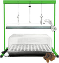 HTG Supply Seed Station Complete Seed Starter Kit with T5 Grow Light, Metal Light Stand, Heat Mat, 7" Humidity Dome, Floating Tray & Seed Plugs for Seed Germination & Seedling Propagation