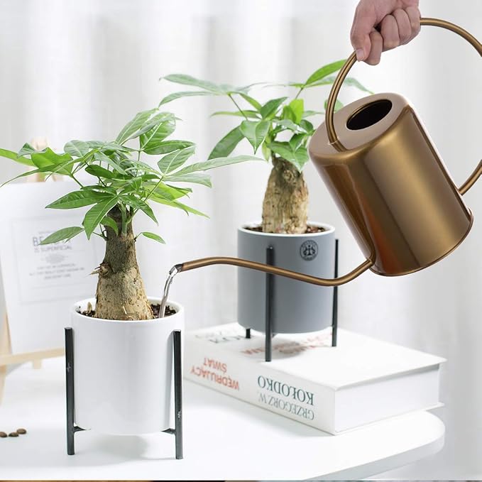 Yowo 1/2 Gallon 68oz Long Spout Stainless Steel Gold Colored Watering Can for Indoor Plant Watering or Outdoor Gardening with 2 Removable Spray Spout for Flowers, Medium