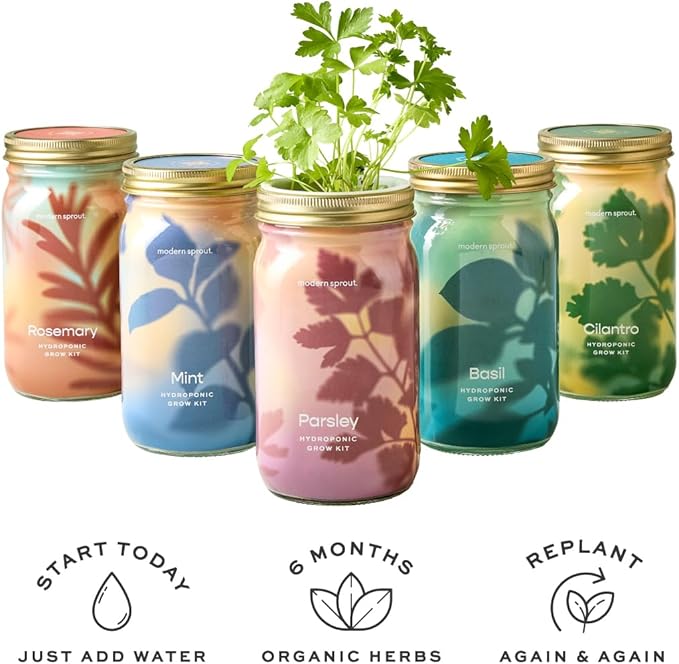 Modern Sprout Mason Garden Jar - Self-Watering Hydroponics Growing System Kit with Organic Herb Seeds - Jar Planter for Indoor Herb Garden - Seed Starter Kit - Home Decor & Gifting - Parsley