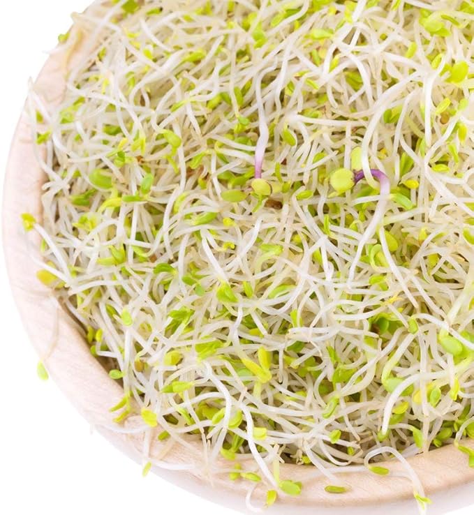 Food to Live Organic Salad Mix of Sprouting Seeds, 1 Pound – Non-GMO Broccoli, Radish, Clover, Alfalfa. Rich Germination Rate, Non-Irradiated, Kosher, Vegan Superfood, Bulk, Rich in Sulforaphane