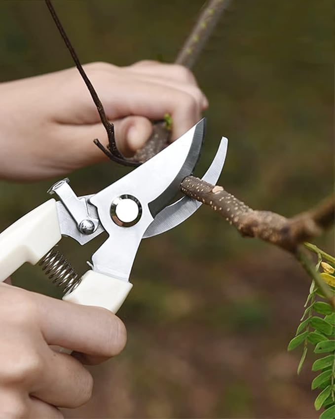 Garden Scissor for Plant, 4 Pcs Floral Scissors, Tip Pruning Shears Bulk for Cutting Flowers, Bonsai, Fruits and Trimming Plants