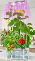 Hydroponics Growing System kit with Trellis,Smart Hydroponic Gardening System with LED Grow Light, Indoor Hydroponic Garden Herb Grow Kit for Short Tomato,Pepper,Cucumber (6200LC)