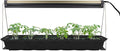 Ferry-Morse Indoor Grow Light Fixture with T5 Bulb, Compact Size 24 x 11in., Easy to use and Setup, for Seed Starting, Growing seedlings & cuttings Indoors