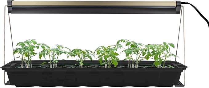 Ferry Morse Indoor Grow Light Fixture with T5 Bulb, Compact Size 24 x 11in., Easy to use and Setup, for Seed Starting, Growing seedlings & cuttings Indoors Plus Connector Cord, 2 Pack