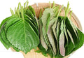 200ct+ Perilla Seeds,Non GMO Seed for Sprouting, Heirloom Vegetable Seed for Planting. Great Hydroponic Seeds for Pods(Egoma/Sesami Herb Seed #2,Perilla Shiso Seed紫苏,Green-1g)