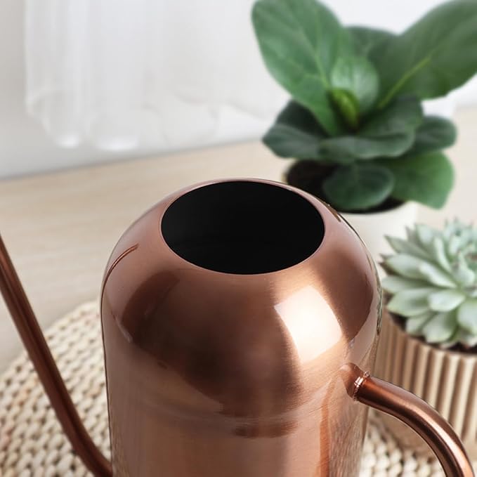 Watering Can Indoor Outdoor Plants, 50oz/1500ml Garden Long Spout Watering Cans, Stainless Steel Plants Watering Can Pot for Indoor House Plants Bonsai Flower Decorative