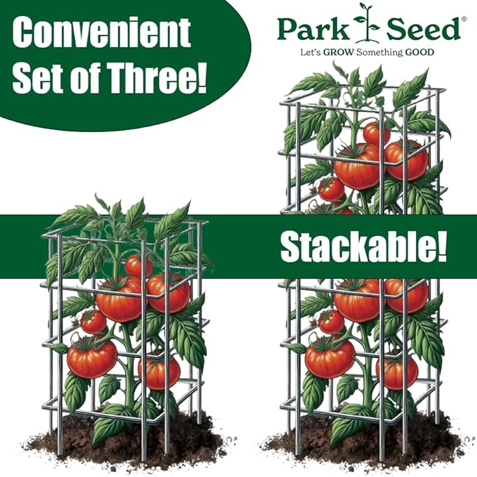 Park Seed Tomato Cages – 39" Tall Heavy-Duty Plant Supports for Tomatoes, Peppers, Cucumbers, and Climbing Vegetables, Foldable Metal Garden Trellis, Pack of 3