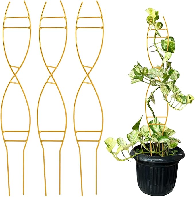 15.94 inch Plant Trellis for Climbing Plants Indoor, Unique DNA Spiral Design Metal Climbing Trellis for Vining Plants, for Houseplant Flower Pothos