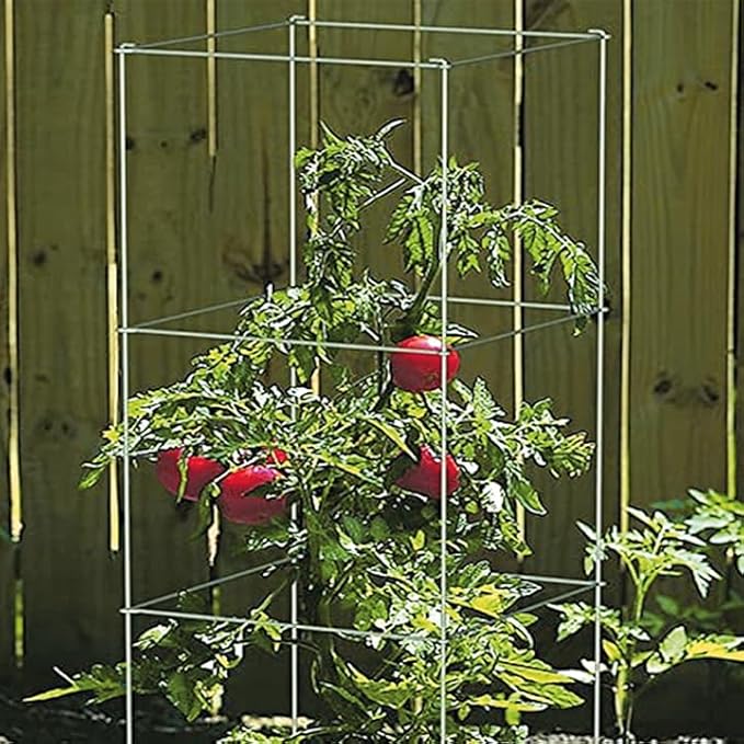 Ferry Morse Plant Cage - Folding Tomato Trellis Cage, Heavy Duty Support, 2 Pack - Steel, 16x16x39.5 in