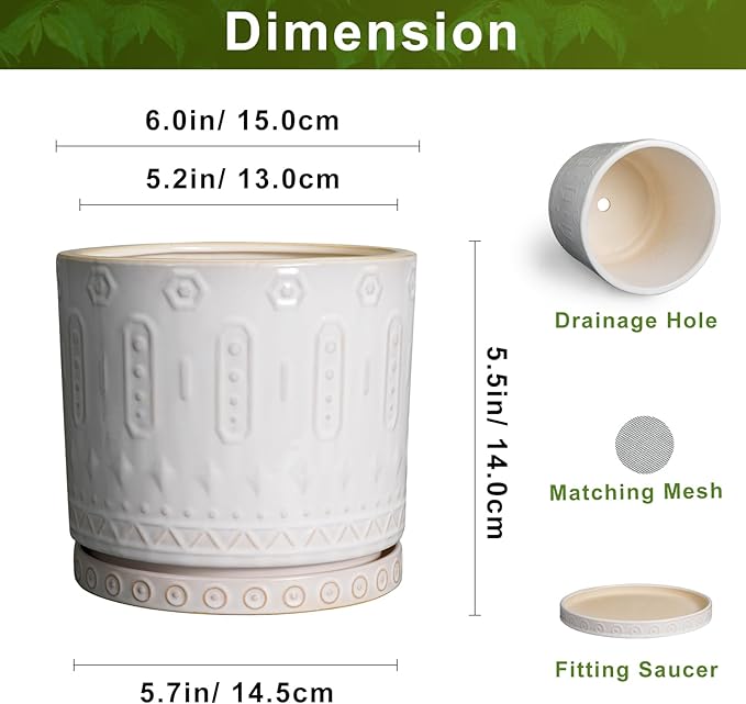 Eightpot Ceramic Planter, 6 Inch Pot for Plants with Drainage Holes and Tray, Round Plant Pots for Indoor Outdoor Plants, Boho Decorative Flower Pots, Home Room Decor, Gifts for Women, White