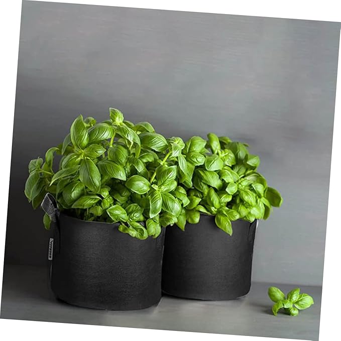 BESPORTBLE 5pcs Non-Woven Planting Bags Breathable Grow Bags for Indoor and Outdoor Use for Vegetables Flowers and