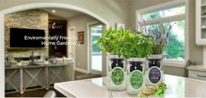 Hydroponic Herb Growing Kit, Self-Watering Mason Jar Herb Garden Starter Kit Indoor, Window Herbs Garden, Grow Your Own Herbs from Organic Seeds (Mint)