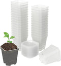 foxany 3" Clear Nursery Pots, 30 Pcs Thick Plastic Plant Pot, Square Flower Planting Pot, Seedling Planter Seed Starter Pots with Saucers