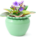 African Violet Flower Pot Green Ceramic Self Watering Flower Pot 6.5 * 4.6 * 4 inch Simple Plant Self Watering Pot Indoor Flowers High Absorption Herbaceous Flower Pots Modern Decor Pots