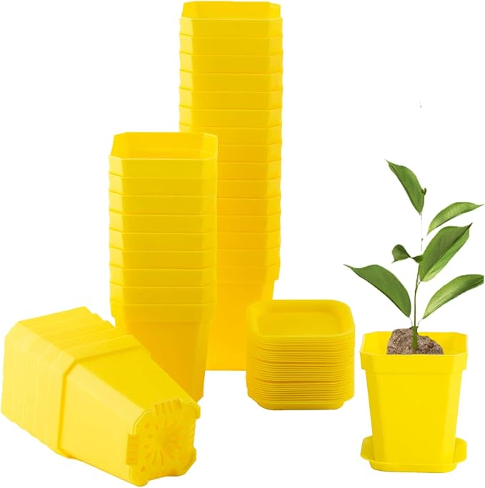 foxany 3" Plants Nursery Pot, 30 Pcs Thick Plastic Square Yellow Planting Pots, Plant Seedling Pots, Seed Starting Pots with Saucers - Yellow