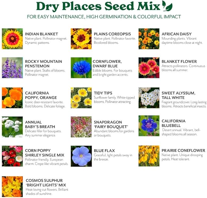 Grow Your Own Vibrant Annual and Perennial Wildflower Garden Mixture, Varieties for Pollinators and Spring Gardens - Dry Places Mix, 25 lbs