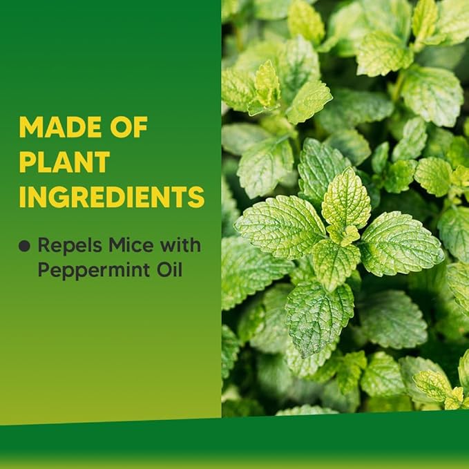 Rodent Repellent, Mouse Repellents, Rat Repellent, Natural Mice Repellent Indoor, Peppermint Oil to Repel Mice and Rats, Keep Mice Away, Rat Deterrent-8P