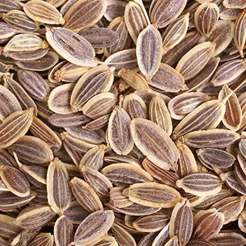 Bouquet Dill Herb Seeds, 1500 Heirloom Seeds Per Packet, (Isla's Garden Seeds), Non GMO Seeds, Botanical Name: Anethum graveolens