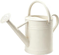 Metal Watering Can for Outdoor and Indoor Plants, Watering Can Decor, 1 Gallon（Cream White）