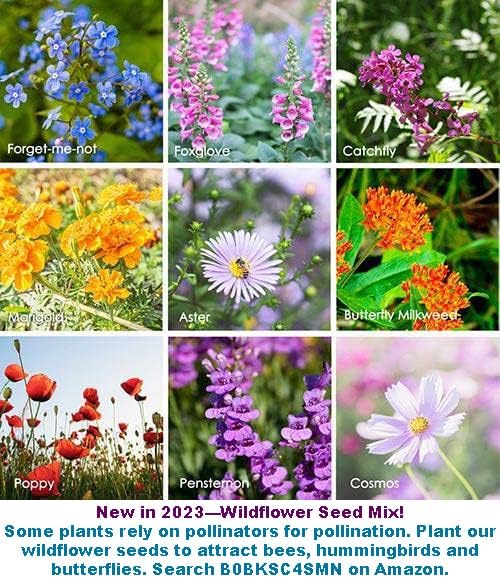 for 2026-Organic Pole Bean Seeds for Planting Vegetables and Fruits-Chinese Green Bean Seed(芸豆,青扁豆) French/Romano Pole Beans.Non GMO Garden Seed for Home Vegetable Garden(30-37 Veggie Seeds-Helda)