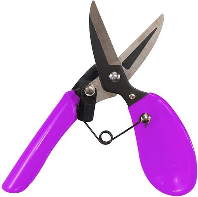 Dramm 18006 ColorStorm Premium Garden Scissors, Berry