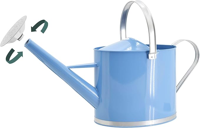 Arcadia Garden Products WC17 Chic Watering Can, Indoor and Outdoor, Easy Pour, Gift, 1.8 gal, Sky Blue