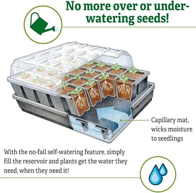 Gardener's Supply Company GrowEase Seed Starting Self Watering Tray |12-Cell Seedling Tray with Capillary Mat, Water Reservoir & Germination Dome | Indoor Greenhouse Gardening Kit