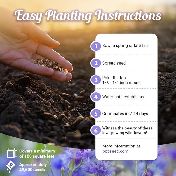 Low Growing Wildflower Seeds Mix - 1oz, 6-12 Inches Short Flowers – Non-GMO Natural Mix of Annual & Perennial Garden Seeds with High Germination Rate