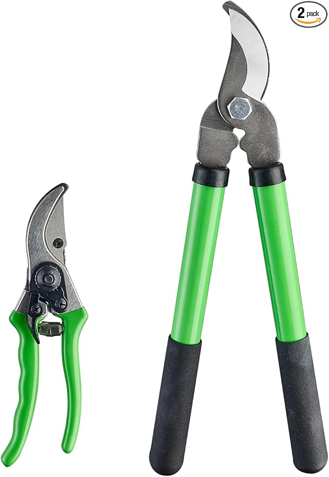 Pro Pruning Shears - Heavy Duty Garden Shears with SK-5 Steel Blades, Ergonomic Non-Slip Handle Tree Branch Cutter & Flower Arranging Tool