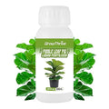 10oz Fiddle Leaf Fig Plant Food for All Fig and Other Ficus Trees, Liquid Houseplant Fertilizer for Ficus Plants, Ideal Fiddle Leaf Fertilizer, Ficus Plant Food for Improves Leaves and Branches