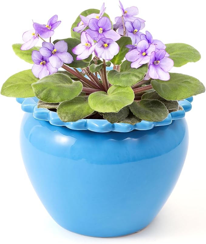African Violet Flower Pot Blue Ceramic Self Watering Flower Pot 6.5 * 4.6 inch Simple Plant Self Watering Pot High Absorption Herbaceous Simple Plant Self Watering Basin