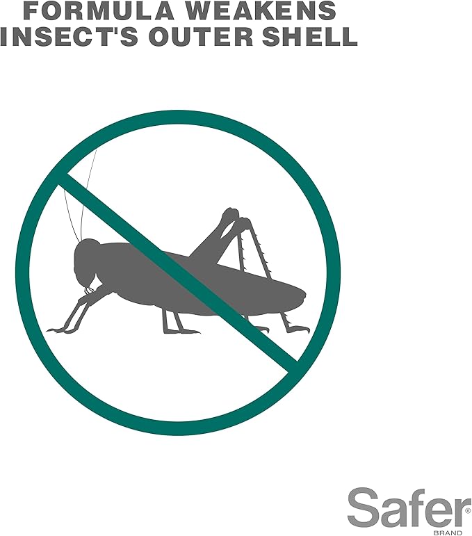 Safer 5118-6 Insect Killing Soap Concentrate - Insecticidal Soap for Plants - Kills Aphids, Whiteflies, Thrips, Spider Mites, and More - OMRI Listed for Organic Use