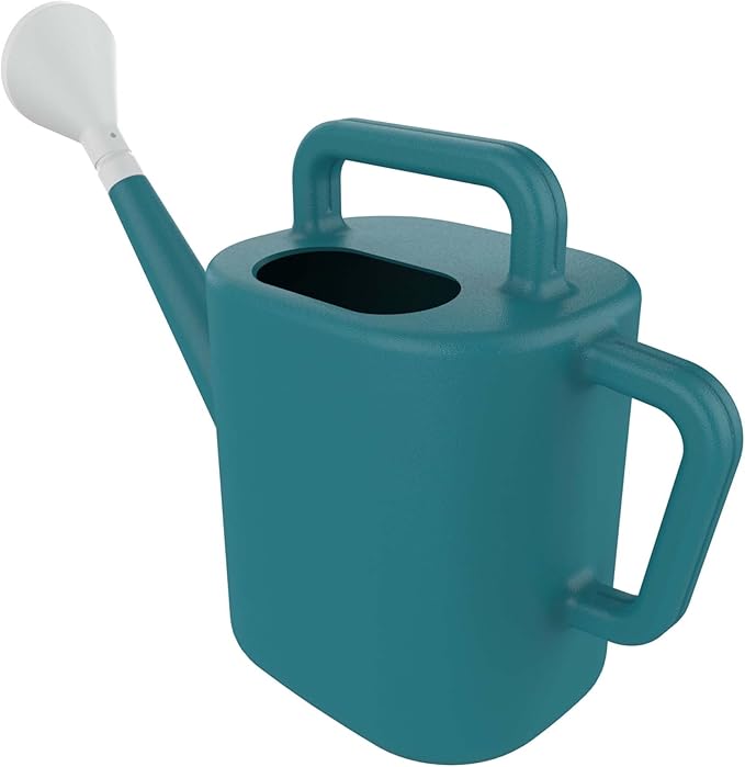Expert Gardener 2 Gallon Resin Watering Can – Durable Plastic Garden Watering Can with Dual Handles & Controlled Flow Spout, Lightweight for Indoor & Outdoor Plants, Green (Teal Thunder)