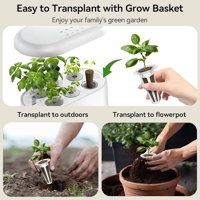 inbloom 12-Pod Gourmet Herb Basil Seed Pod Kit for AeroGarden, Ahopegarden Hydroponic Garden, Basil, Mint, Cilantro, Parsley, Shiso, Chicory, Liquorice, 400+ Seeds