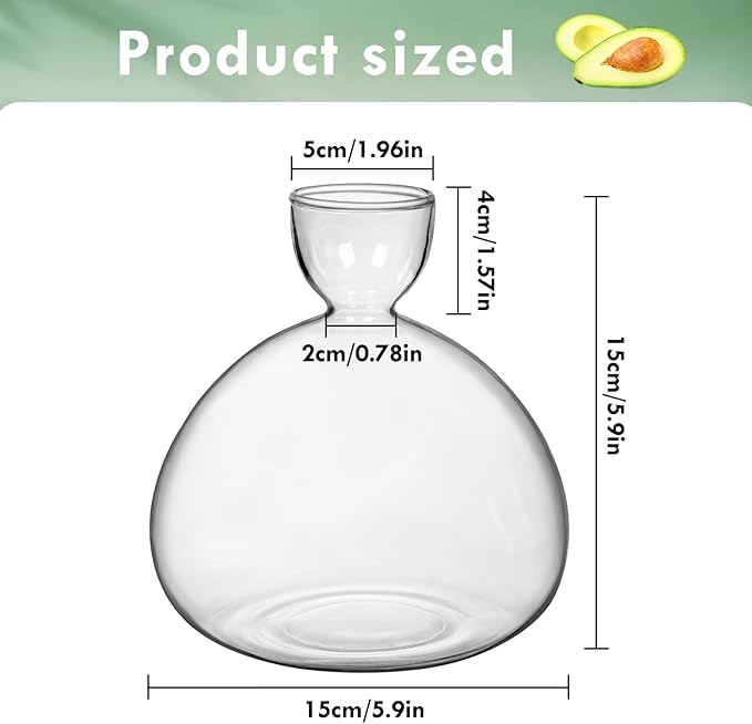 Large Avocado Vase Grow Glass Bulb Vases Acorn Seed Starter Vase Avocados Pit Planter Pot for Gardening Lover Indoor Hydroponics