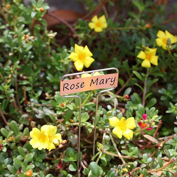 20 Pcs Copper Plant Labels, BetterJonny 25.5cm / 10inch Metal T Type Plant Labels Waterproof | Durable Garden Markers for Outdoor Seedlings & Nursery
