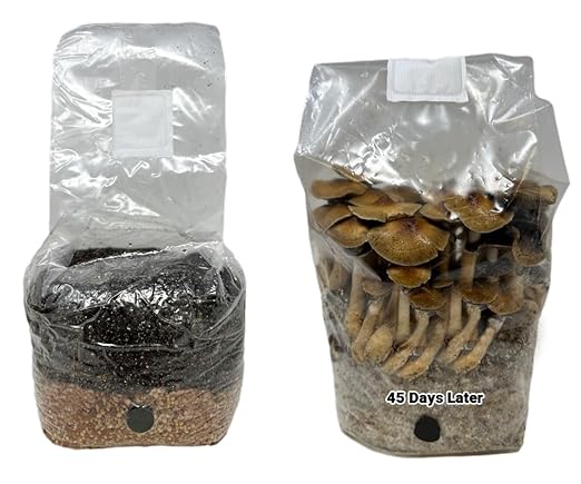 Myco Labs All-in-One Mushroom Grow Bag for Manure Loving Mushrooms + Spore Germination Jar! (4LB)