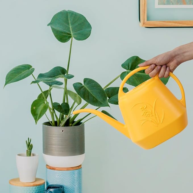 Plastic Watering Can - Orange Color - 1 Gallon