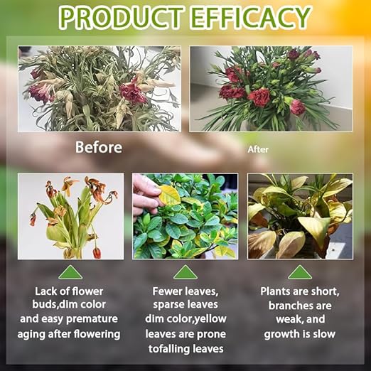 Soil Activator for Plants, Organic Bone Meal Plant Food for Indoor & Outdoor Plants, Potting Mix, Seedling Compost – Promoting Plant Rooting 2pcs